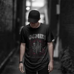 Gemini — Blíženci 4