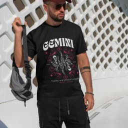 Gemini — Blíženci 8