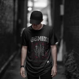 Gemini — Blíženci 6